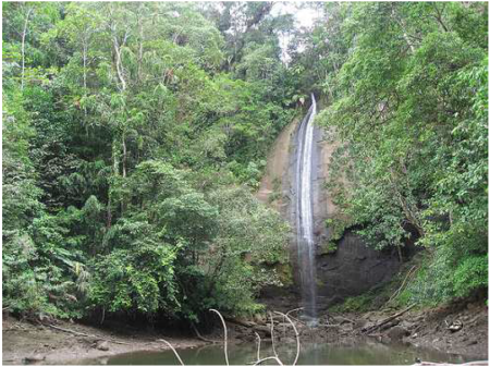 30 Las cascadas del Sierpe en Bahia Malaga, Colombia