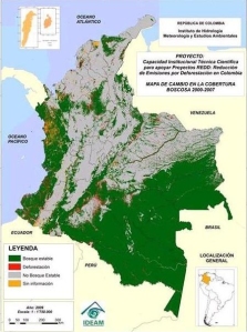 defortestacion en colombia