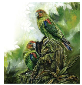 Loro multicolor, ave emblema de Caldas - ornitologiacaldas.org